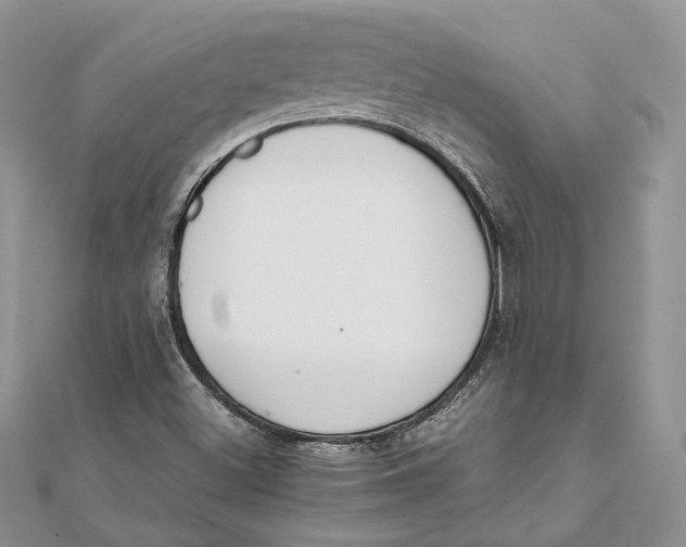 X0000111451500200908031402