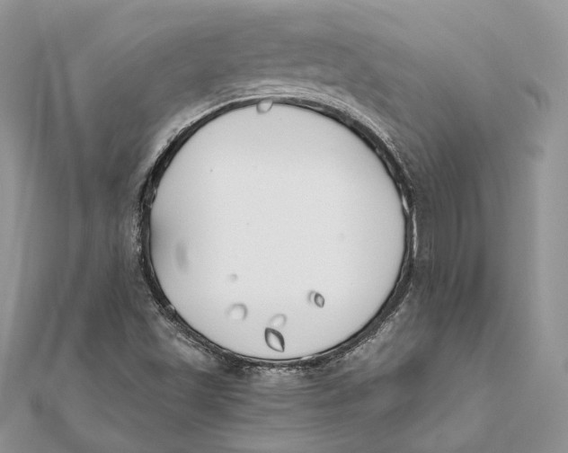 X0000111451501200908031402