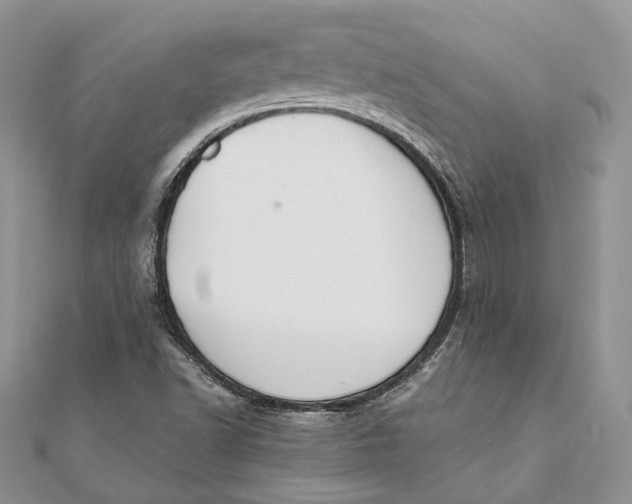 X0000111451502200908031402
