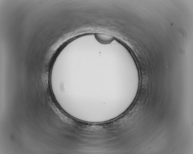 X0000111451503200908031402