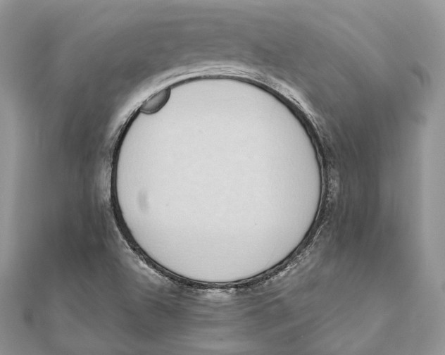 X0000111451504200908031402
