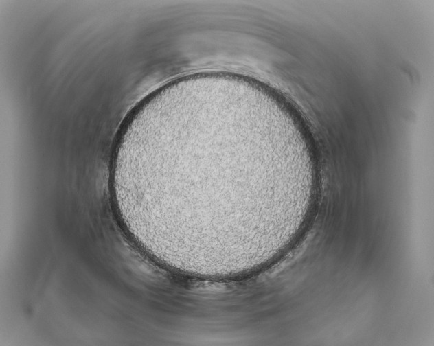 X0000111451505200908031402