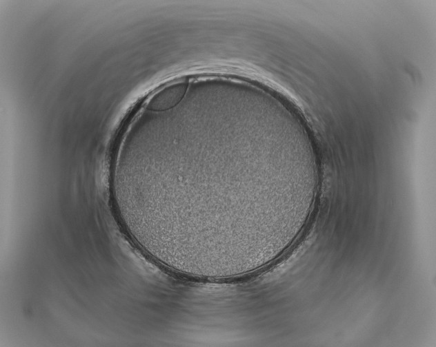 X0000111451506200908031402