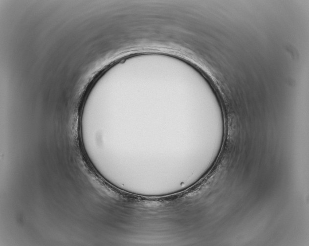 X0000111451507200908031402