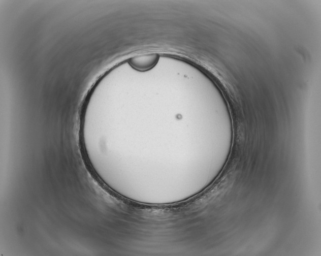X0000111451508200908031402