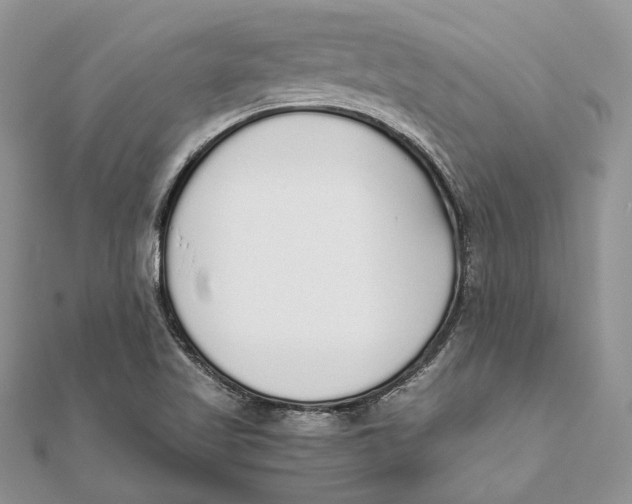 X0000111451509200908031402