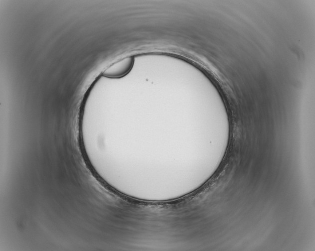 X0000111451512200908031402