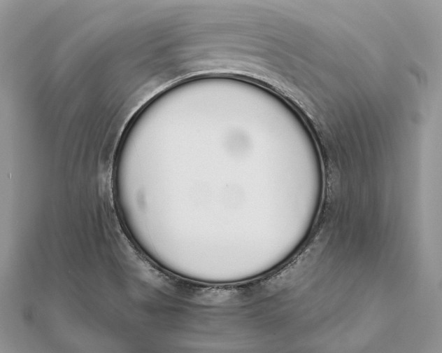X0000111451513200908031402