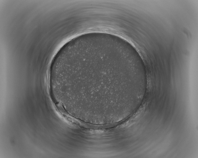 X0000111451515200908031402