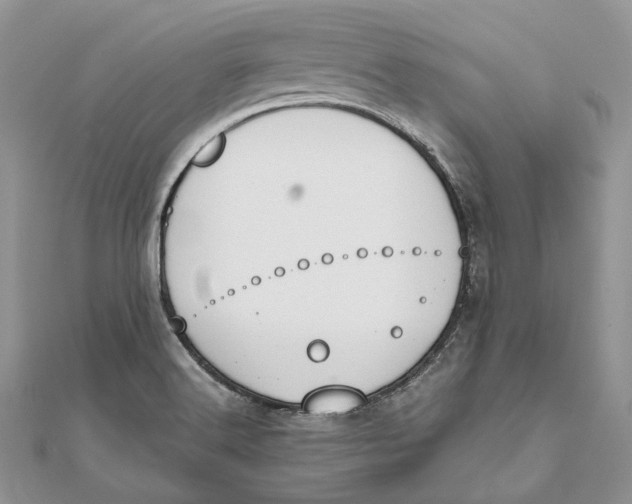 X0000111451516200908031402