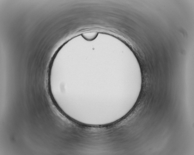 X0000111451518200908031402