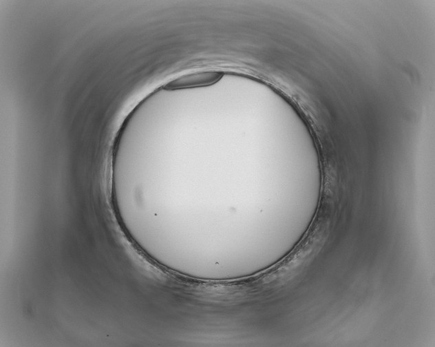 X0000111451520200908031402