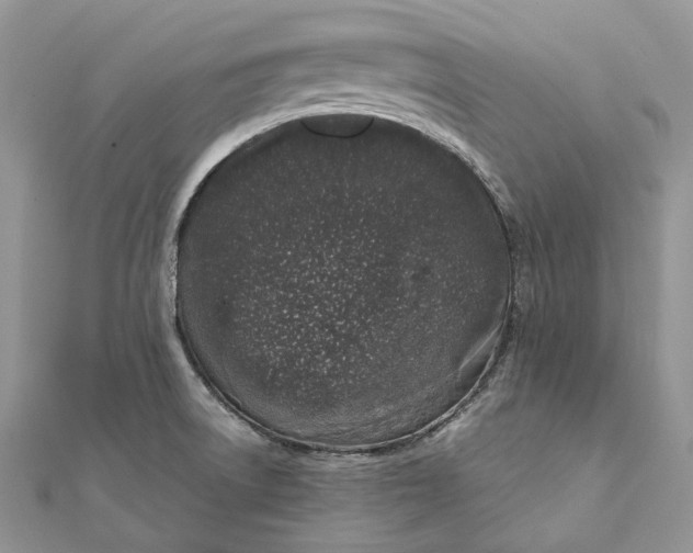X0000111451522200908031402