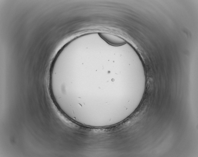 X0000111451523200908031402