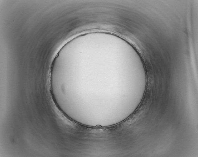 X0000111451524200908031403