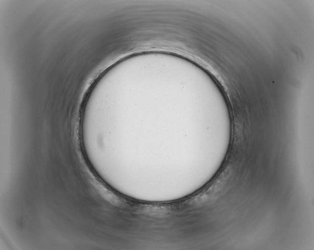 X0000111451525200908031403