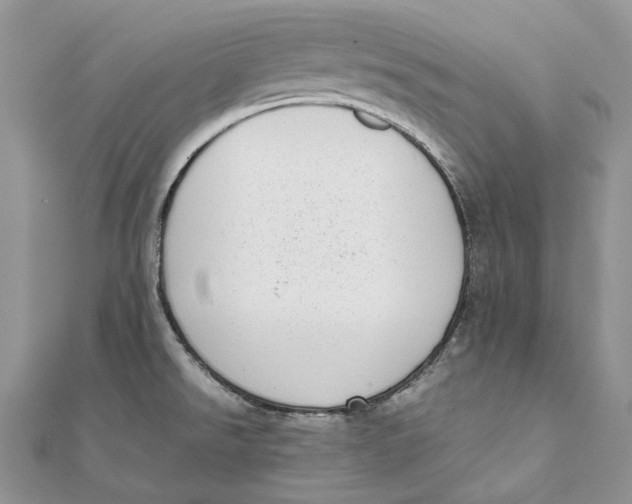 X0000111451526200908031403