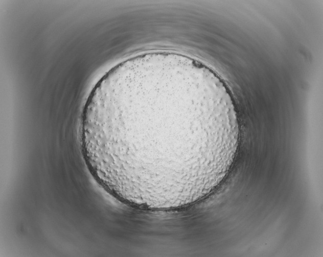 X0000111451527200908031403