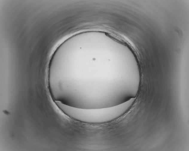 X0000111451528200908031403