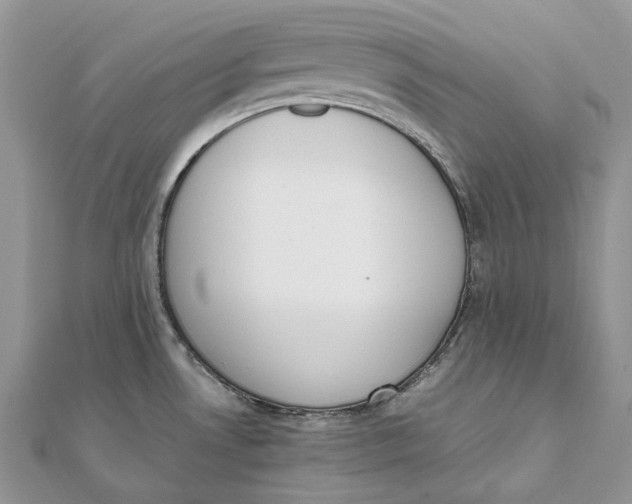 X0000111451530200908031403