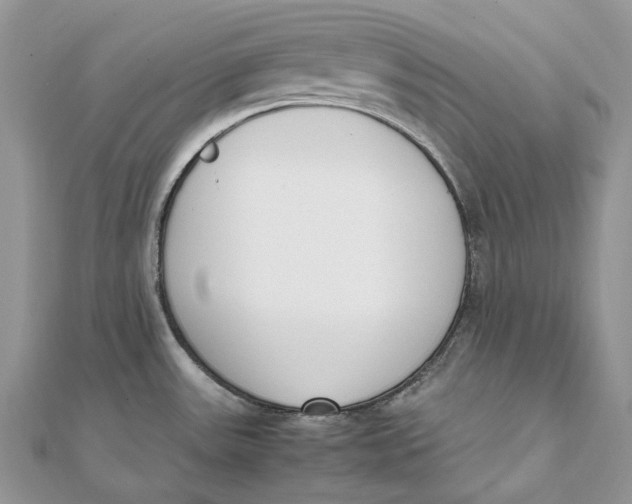 X0000111451531200908031403