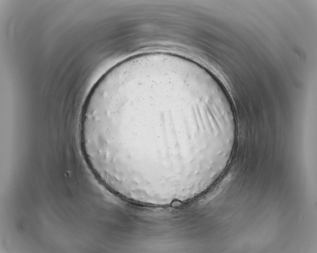 X0000111451533200908031403