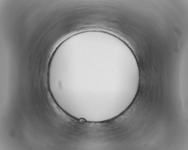 X0000111451534200908031403