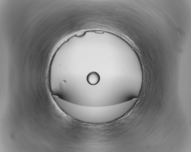 X0000111451536200908031403