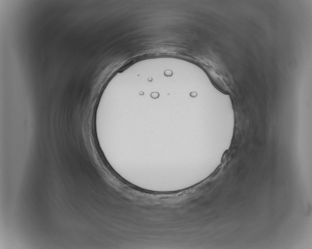 X0000111450001200908101044