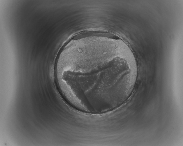 X0000111450002200908101044