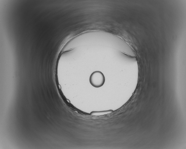X0000111450003200908101044