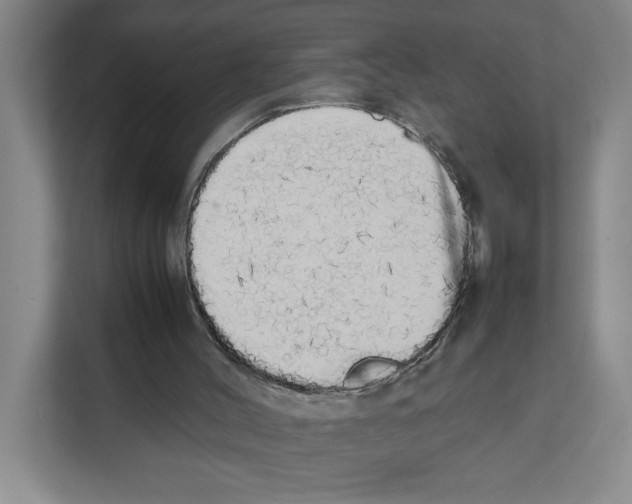 X0000111450004200908101044