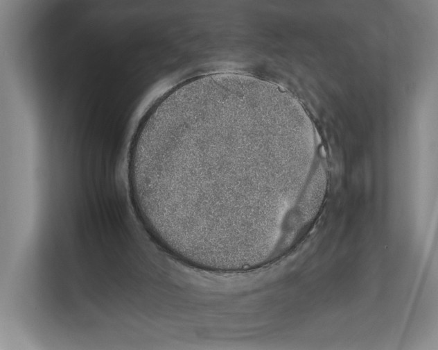 X0000111450006200908101044