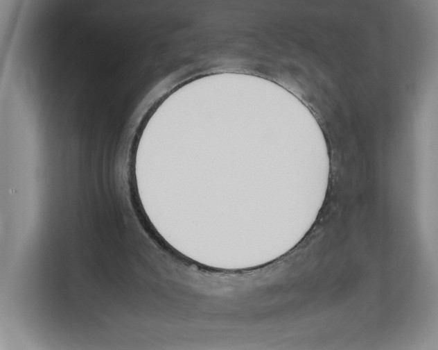 X0000111450007200908101044