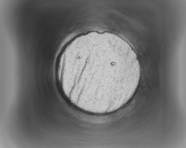 X0000111450008200908101044