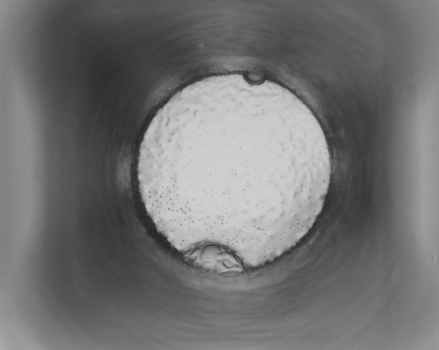 X0000111450010200908101044