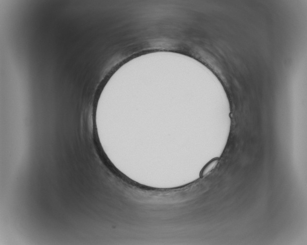 X0000111450011200908101044