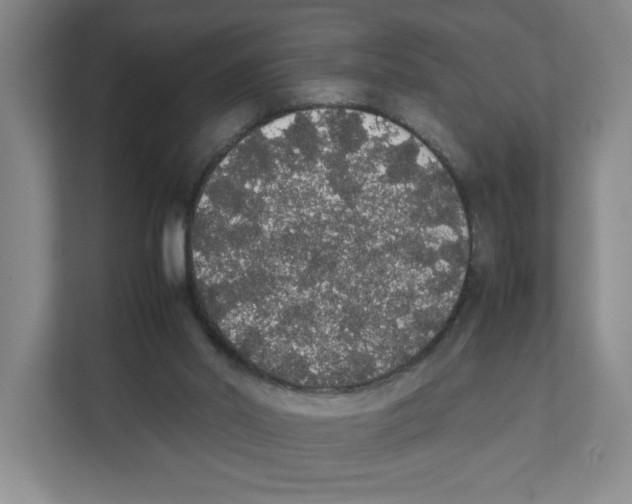 X0000111450014200908101044