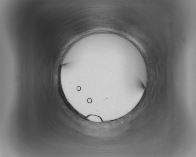X0000111450015200908101043