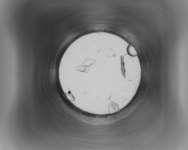 X0000111450016200908101043