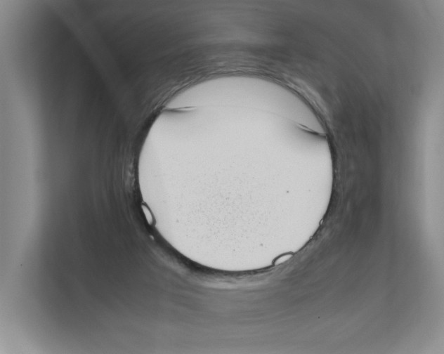 X0000111450017200908101043