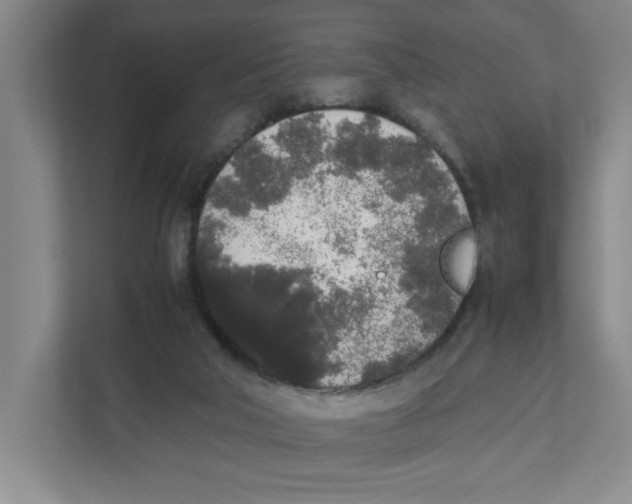 X0000111450018200908101043
