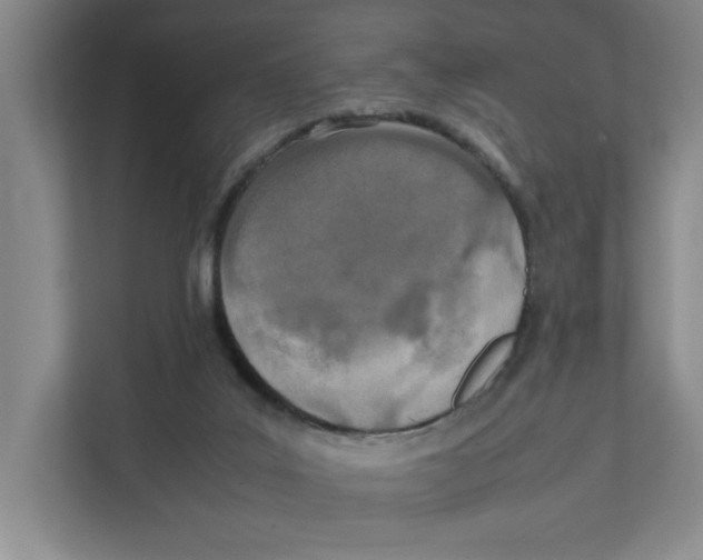 X0000111450019200908101043