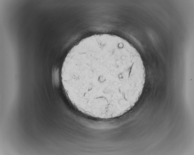 X0000111450020200908101043