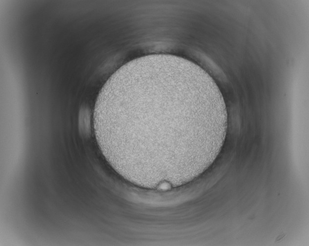X0000111450022200908101043