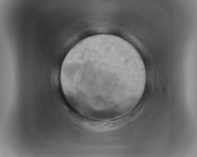 X0000111450023200908101043