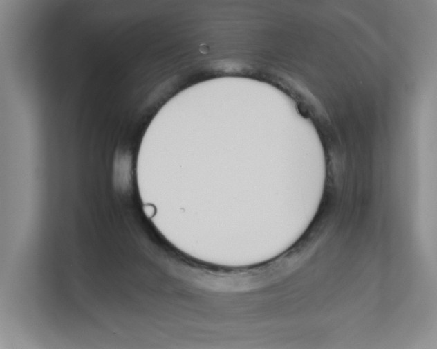 X0000111450024200908101043