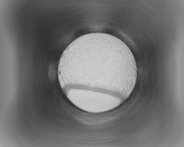 X0000111450026200908101043