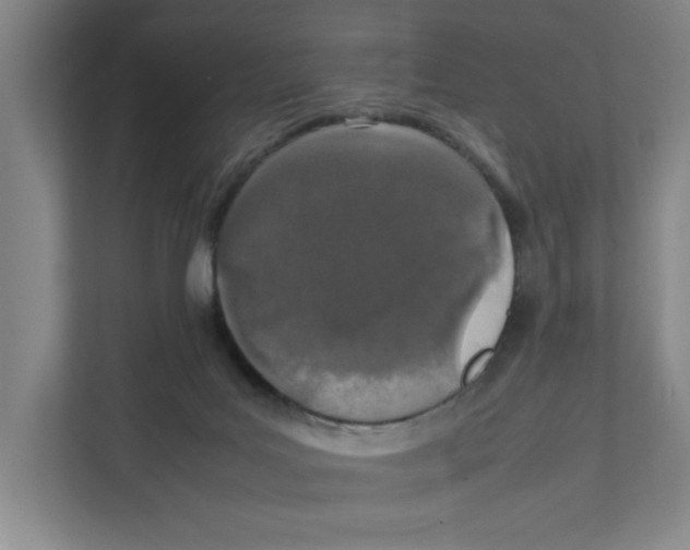 X0000111450027200908101043