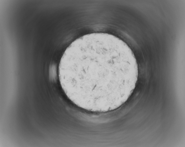 X0000111450028200908101043